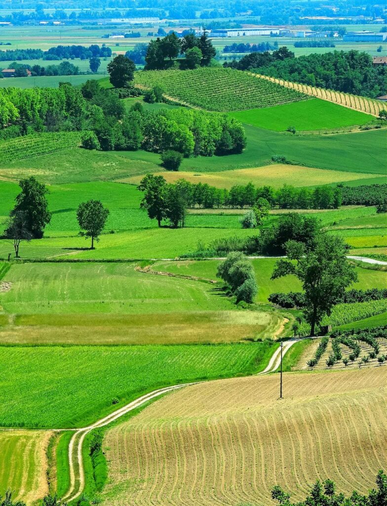 monferrato, cuccaro, piemonte-2980100.jpg